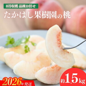 yӂ邳Ɣ[ŁzNo.1905͂ʎ̓@8n sY  i ܂ (PAA܂ǂA悳A쒆A䂤 ) 1.5kgy2026N s\z