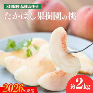 yӂ邳Ɣ[ŁzNo.2531͂ʎ̓@8n sY  i ܂ (PAA܂ǂA悳A쒆A䂤 ) 2kgy2026N s\z