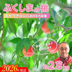 yӂ邳Ɣ[ŁzNo.2896y150zӂ܂̂@ 2.8kgy2026N@s\z