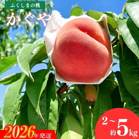 【ふるさと納税】果樹園きつない 福島のもも「かぐや」約2kg 約3kg 約5kg【2026年発送 先行予約】