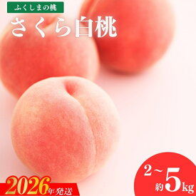 【ふるさと納税】果樹園きつない 福島のもも「さくら白桃」約2kg 約3kg 約5kg【2026年発送 先行予約】