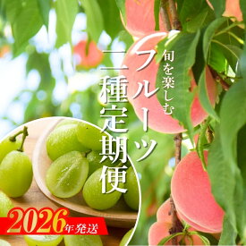 【ふるさと納税】No.2529 【2026年発送分】フルーツ2種定期便　（桃約3kg、シャインマスカット2～3房）