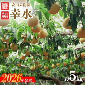 【ふるさと納税】No.1797梨　幸水　約5kg【2026年発送 先行予約】