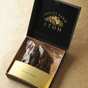 yӂ邳Ɣ[ŁzNo.2508duo de raisinsiVC}XJbg̎}tԂǂj