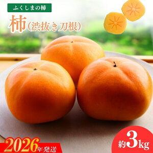 yӂ邳Ɣ[ŁzNo.1205̊`ua`vi͕˂Ȃj3kgy2026N s\z