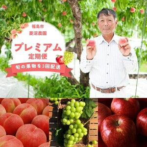 yӂ邳Ɣ[ŁzNo.3005 t[cv~Aցy2026N s\z