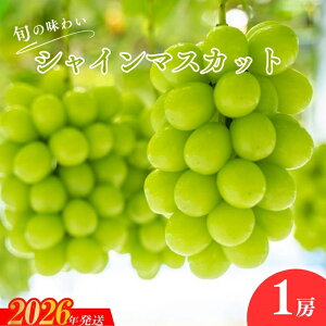 yӂ邳Ɣ[ŁzNo.2503ܔ_@VC}XJbgi1[jy2026N@s\z