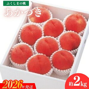 yӂ邳Ɣ[ŁzNo.2359@2kgy2026N@s\z