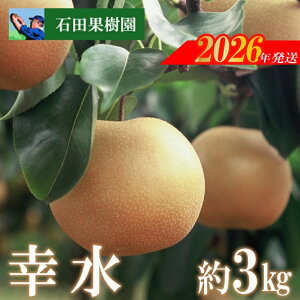 yӂ邳Ɣ[ŁzNo.2736@K@3kgy2026N@s\z