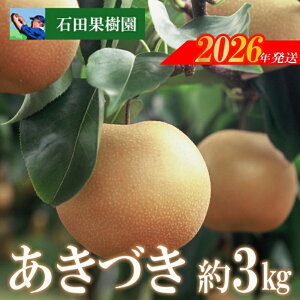 yӂ邳Ɣ[ŁzNo.2740@Â@3kgy2026N@s\z