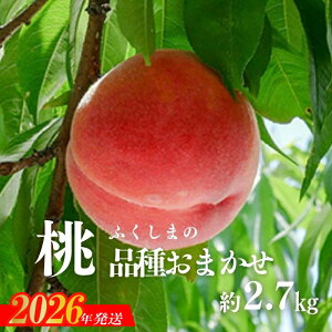 �y�ӂ邳�Ɣ[�ŁzNo.2870 �����i�i�킨�܂����j���ƒ�p�@��2.7kg�y2026�N�����@��s�\��z