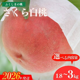 【ふるさと納税】古井果樹園 もも 晩成種「さくら白桃」約1.8kg 約3kg【2026年発送　先行予約】