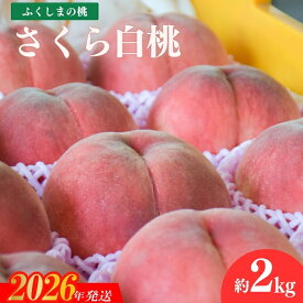 【ふるさと納税】No.2236ヤマ孝 紺野果樹園 もも さくら白桃 約2kg【2026年発送】