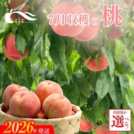 【ふるさと納税】あづま果樹園 もも 7月収穫の桃　選べる　容量　品種おまかせ 約1.2kg 約2kg 約3kg 約5kg 早生 はつひめ 恋みらい 日川白鳳 あかつき 夏の陽 一万円【2026年発送】