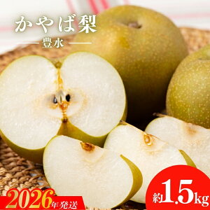 �y�ӂ邳�Ɣ[�ŁzNo.2923����Η��u�L���v��1.5kg�y2026�N�����z