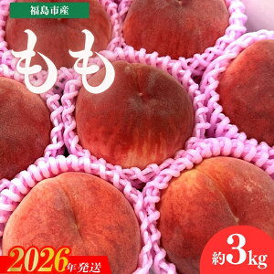 �y�ӂ邳�Ɣ[�ŁzNo.3061 ���̉w�ӂ����� �����s�Y�����@��3kg�i9�ʁ`12�ʁj�y2026�N�����z