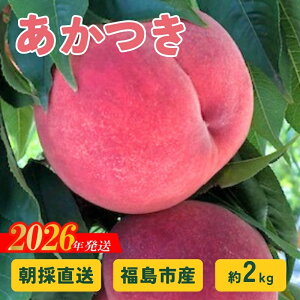 �y�ӂ邳�Ɣ[�ŁzNo.2875 ���̂蒼���I�����̓��u�������v��2kg �y2026�N���� ��s�\��z