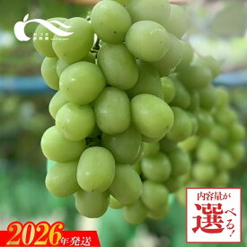【ふるさと納税】あづま果樹園 ぶどう シャインマスカット 選べる 容量 約1kg 約2kg 【2026年発送】福島 福島市