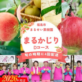【ふるさと納税】No.2364まるせい果樹園 【定期便4回】まるかじりDコース【2026年発送 先行予約】