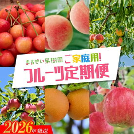 【ふるさと納税】No.2945 まるせい果樹園　ご家庭用6回定期便【2026年発送 先行予約】