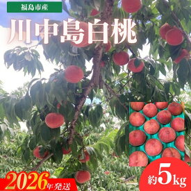 【ふるさと納税】No.3266 安斎果樹園 福島のもも 「川中島白桃」約5kg（13玉～15玉）【2026年発送 先行予約】