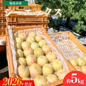 【ふるさと納税】No.3268 安斎果樹園 福島のもも 「シーエックス」 約5kg（13玉～15玉）【2026年発送 先行予約】