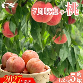 【ふるさと納税】あづま果樹園 もも 7月収穫の桃　選べる　容量　品種おまかせ 約1.2kg 約2kg 約3kg 約5kg 早生 はつひめ 恋みらい 日川白鳳 あかつき 夏の陽 一万円【2027年発送】