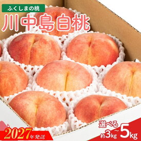 【ふるさと納税】福島のもも　川中島白桃　約3kg 約5kg MF-1 MF-2【2027年発送】福島県 福島市 桃 白桃 8月の桃