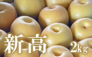 yӂ邳Ɣ[ŁzNo.1720@Ȃ@V@2kg@y2025Nz