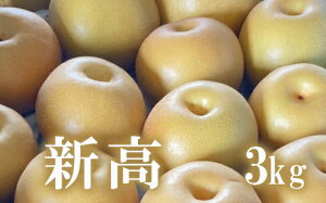 yӂ邳Ɣ[ŁzNo.1721@Ȃ@V@3kg y2025Nz
