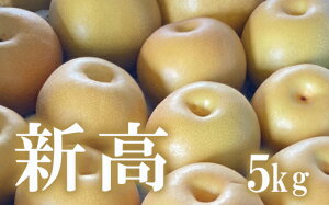 yӂ邳Ɣ[ŁzNo.1722@Ȃ@V@5kg@y2025Nz