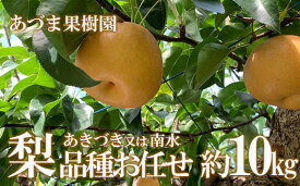 【ふるさと納税】あづま果樹園　梨　品種おまかせ　あきづき　又は　南水　選べる 容量 約2kg 約3kg 約5kg 約10kg【2026年発送】和梨 赤梨 晩生 福島市 福島 旬 玉数 お任せ