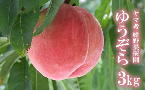 �y�ӂ邳�Ɣ[�Łz���}�F ����ʎ��� ���� �䂤���� ��2kg ��3kg�y2026�N�����z