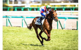 【ふるさと納税】No.2011 競馬ジョッキー勝負服　タイプB　グラスワンダー 半沢有限会社 勝負服 福島 競馬 グッズ なりきり