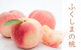 【ふるさと納税】紺野果樹園【K】 もも「あかつき」約2kg 約3kg 約5kg 【2026年発送 先行予約】