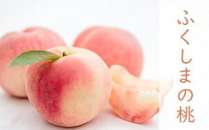 �y�ӂ邳�Ɣ[�Łz����ʎ����yK�z �����u�������v��2kg ��3kg ��5kg �y2026�N���� ��s�\��z