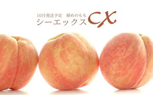 yӂ邳Ɣ[ŁzNo.2580󏭕iCX/V|GbNX 3kgy2025Nz