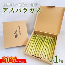 【ふるさと納税】No.3250 陸奥産の竜髭菜（アスパラガス）"将軍" 約1kg【2026年発送 先行予約】