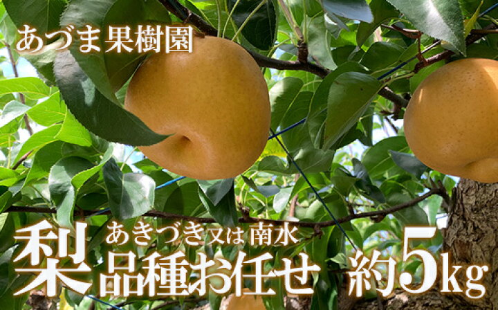楽天市場 ふるさと納税 No 1768あづま果樹園 梨 品種おまかせ あきづき又は南水 約5kg 22年発送 福島県福島市