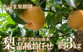 【ふるさと納税】あづま果樹園　梨　品種おまかせ　あきづき　又は　南水　選べる 容量 約2kg 約3kg 約5kg 約10kg【2026年発送】和梨 赤梨 晩生 福島市 福島 旬 玉数 お任せ