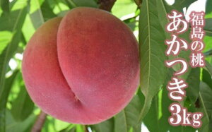 yӂ邳Ɣ[Łzuv 2kg 3kgy2026N s\z