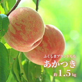 【ふるさと納税】No.2625【限定50箱】ふくしまのもも あかつき 約1.5kg【2024年発送】