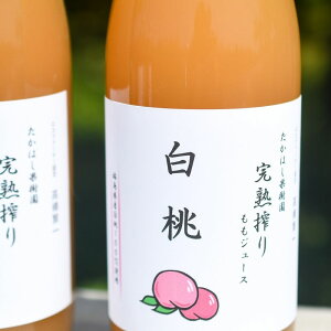 yӂ邳Ɣ[ŁzNo.2681nW[Xij2{i1000ml×2jY