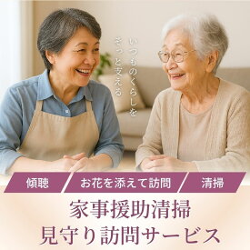 【ふるさと納税】No.3078 家事援助清掃・見守り訪問サービス〜めんどういるか〜