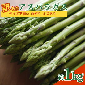 【ふるさと納税】No.2879 【訳あり】アスパラガス 約1kg サイズ不揃い 曲がり キズあり【2026年発送】