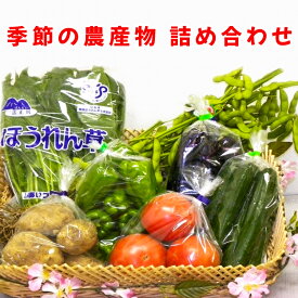 【ふるさと納税】季節の農産物詰め合わせ｜産直 農産物 季節の野菜 [0128]