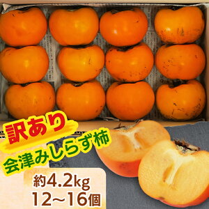 yӂ邳Ɣ[ŁzÐg炸` (󂠂Eƒp) 4.2kg (1216) _YbÎᏼ A ʕ t[c ` ݂炸  JL Ðgsm` ߘa7N 2025N { [1022]