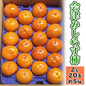 yӂ邳Ɣ[ŁzÂ݂炸` 2LTCY 20 (5kg) ÎᏼsRY R`_ b2025NY ߘa7NY ݂炸` g炸` 햳 `  JL t[c ʕ {̉ʕ Y ÎY 