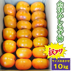 yӂ邳Ɣ[ŁzÂ݂炸` ƒp^󂠂 TCY܂ 10kg ÎᏼsR R`_b2025NY ߘa7NY ݂炸` g炸` 햳 `  JL t[c ʕ Y ÎY