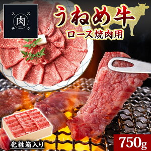 yӂ邳Ɣ[Łz˂ߋ [X ēp 750g Y a јa Ă    Y uh ㎿ S  ē ґ BBQ  Mtg {~[g Ⓚ  SR
